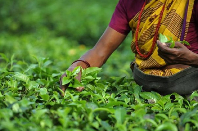 தொழிலாளர் சம்பள அதிகரிப்பு ; நீதிமன்றம் அதிரடித் தீர்ப்பு