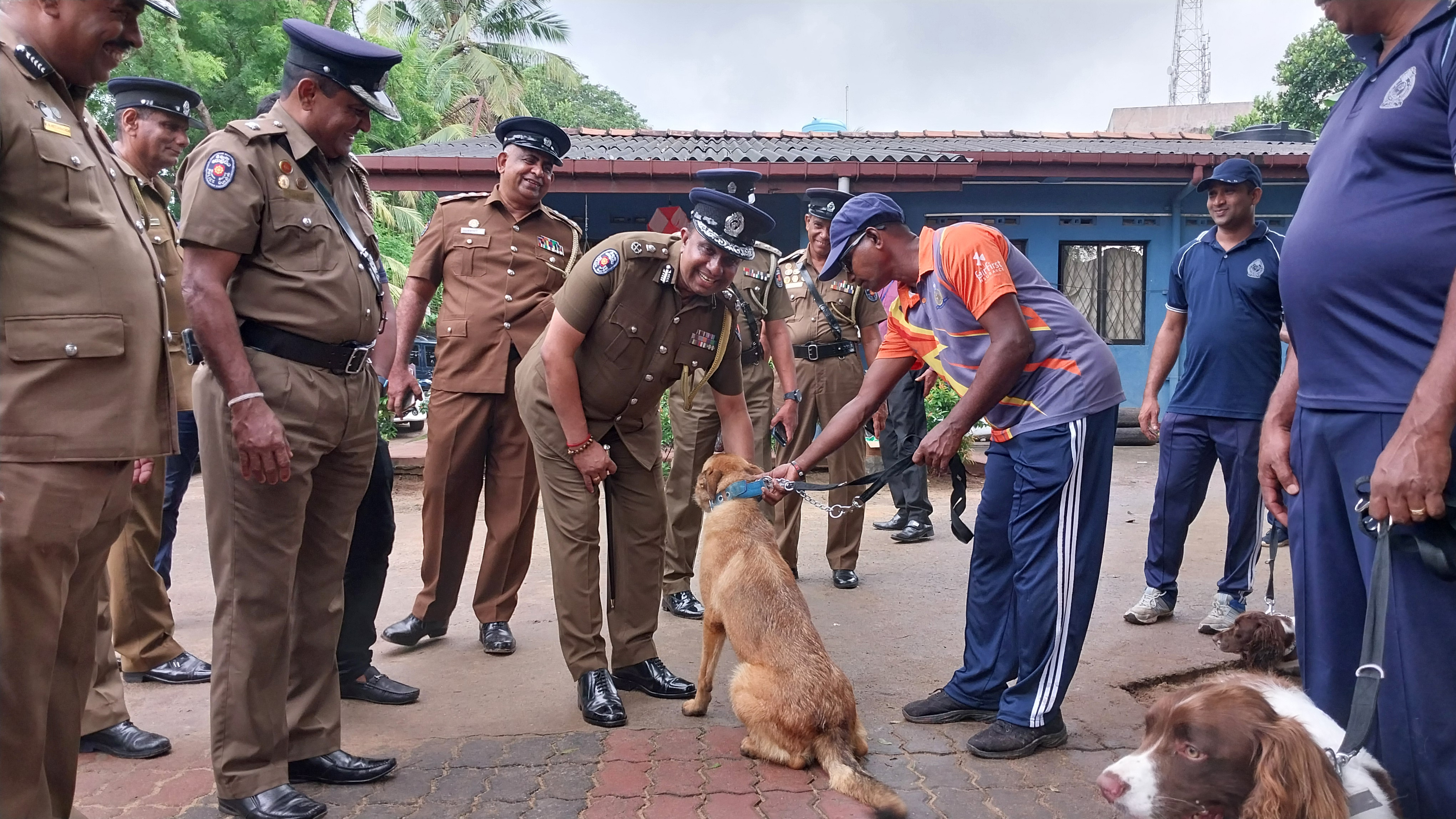 இலங்கை பொலிஸ் மோப்ப நாய்கள் பிரிவுக்கு நெதர்லாந்திலிருந்து 35 மோப்ப நாய்கள்