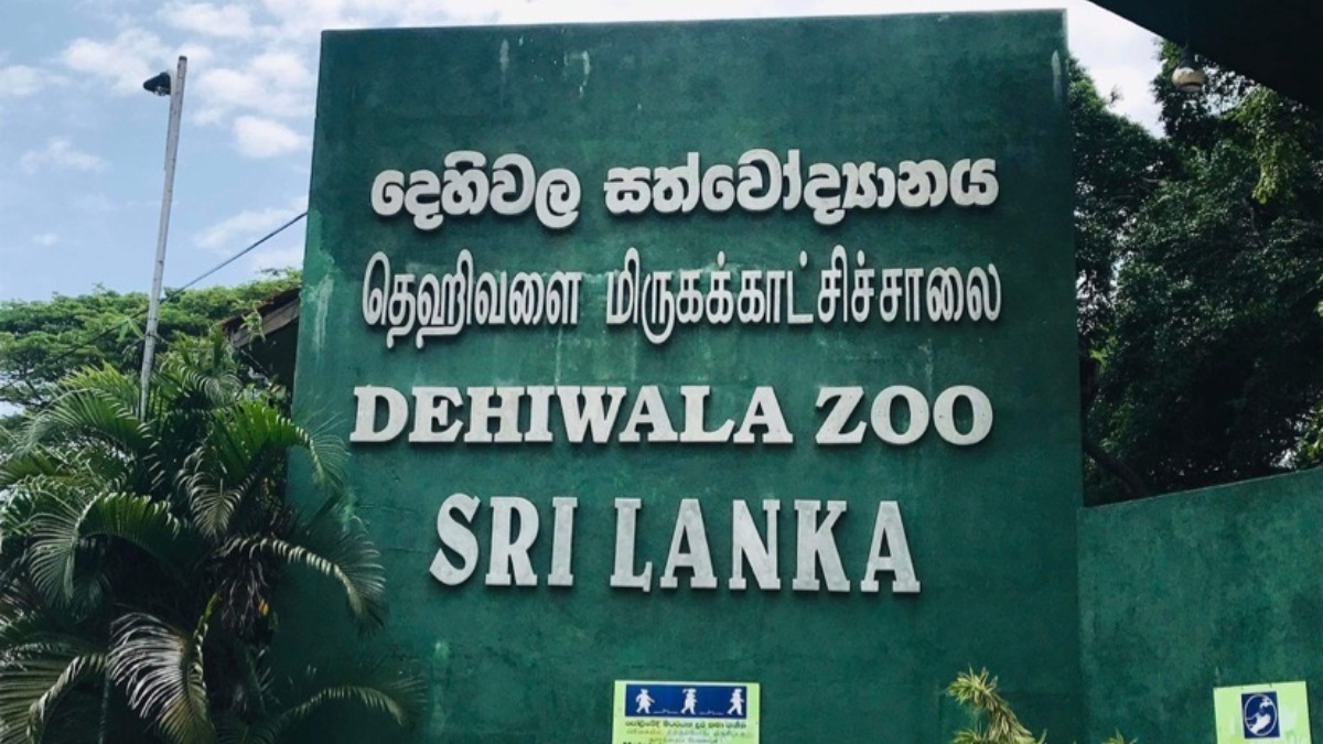 அனைத்து சிறுவர்களுக்கும் இலவசமாக  மிருகக்காட்சிசாலையை பார்வையிட வாய்ப்பு