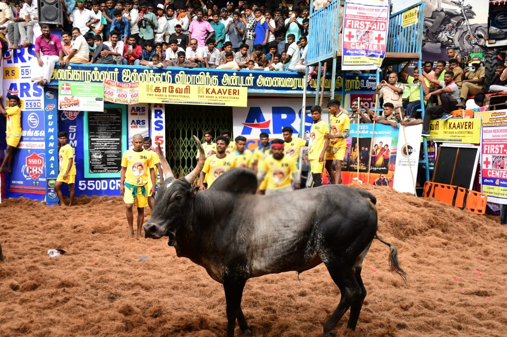 உலக புகழ்பெற்ற அலங்காநல்லூர் ஜல்லிக்கட்டு   தொடங்கியது